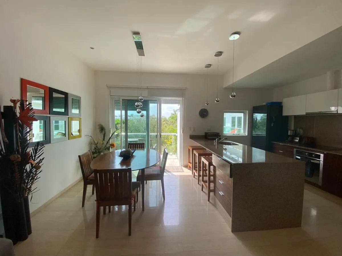 Prime 1 Bedroom Condo In Historic Downtown Playa Del Carmen contacts